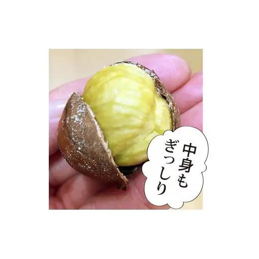 大きな栗のぽろたん　とっても甘い低温熟成栗　
