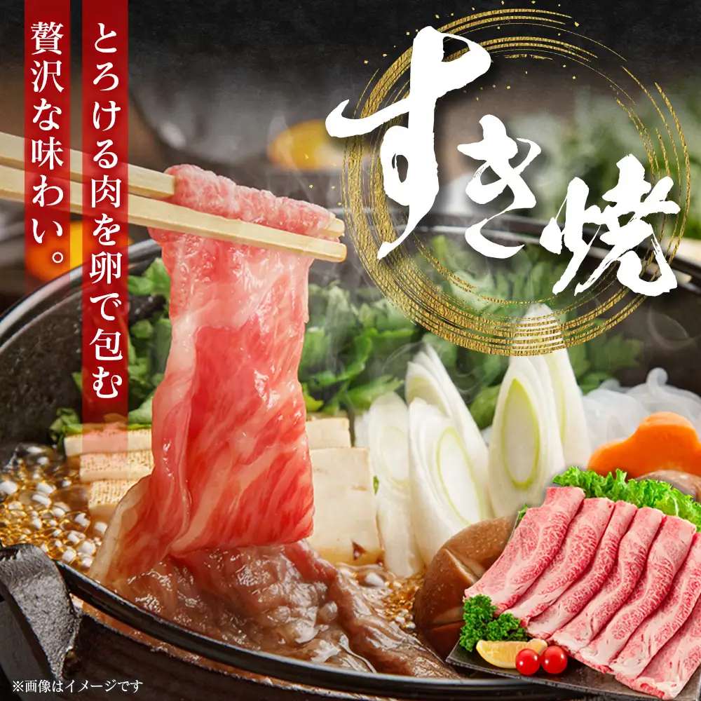 宮崎牛 プレミアム定期便 全3回 肩ロース 牛モモ ロースステーキ 焼肉 スライス 黒毛和牛 E272