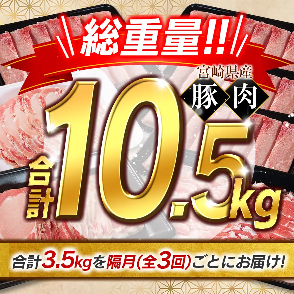《総量10kg以上!!》豚肉 3回 隔月 定期便 バラエティセット 宮崎県産 食べ比べ 国産 E273