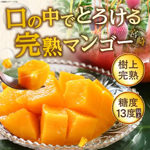 先行予約 数量限定 完熟マンゴー 2L×1玉（パック）マンゴー 宮崎 果物 フルーツ くだもの 2027年 国産 高級 マンゴージュース 南国フルーツ おすすめ デザート ギフト 贈り物 プレゼント 贈答 冷蔵 綾町 送料無料 【JA綾町】_A0114-263