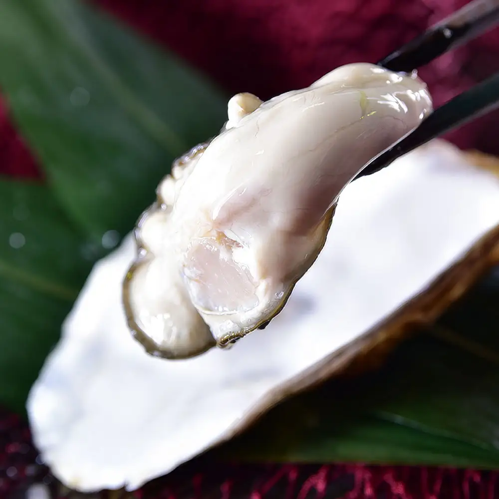 釧路管内産濃厚活生牡蠣 （ 1個 60g ～ 90g ） 10個入り 生牡蠣 牡蠣 殻付牡蠣 かき カキ 殻付き 魚介 魚介類 海鮮 濃厚 生食 オイスター おかず おつまみ 晩酌 酒の肴 冷蔵