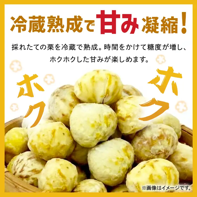 笠間のむき栗(手剥き) 1kg JV-009