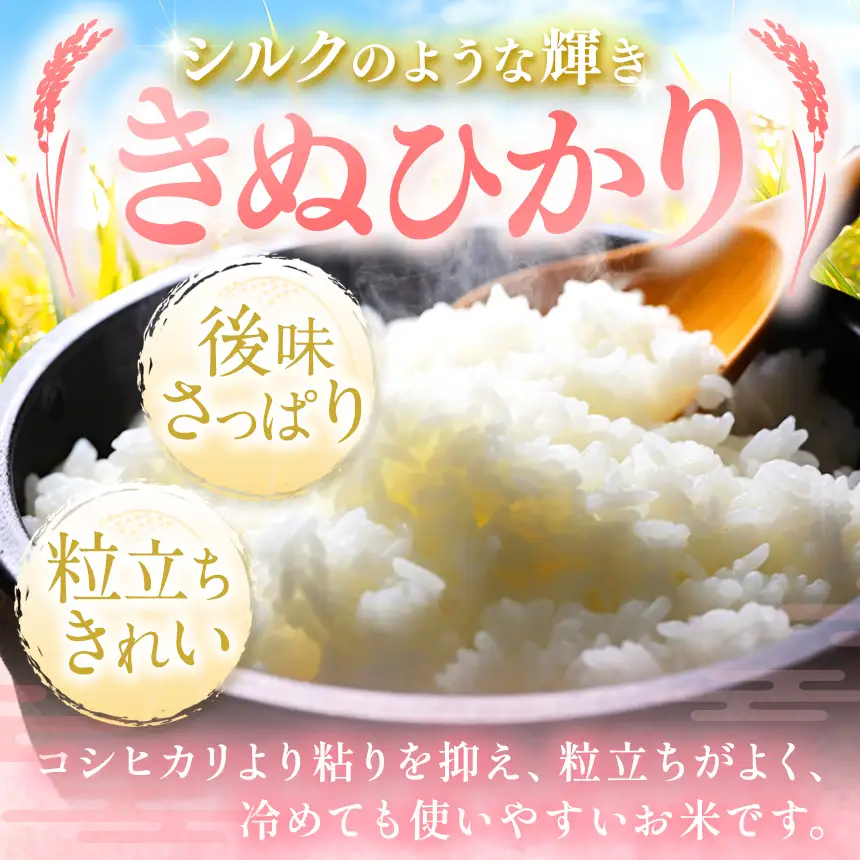 R8年産 熊本県産 きぬひかり 白米 5kg