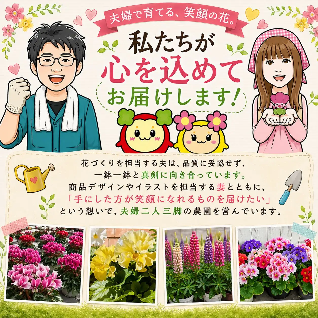 鉢 【ルピナス】花色 品種おまかせ 鉢 4号 ? 6鉢