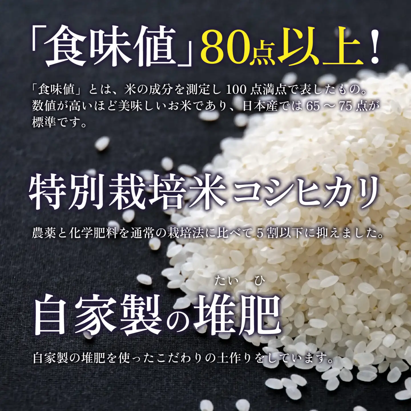 【令和7年産】南条米 特別栽培米コシヒカリ 真空パック5kg [A-011001] 福井 ブランド米 