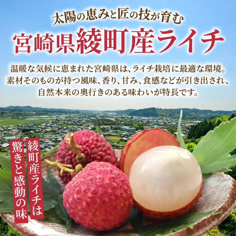 先行予約 数量限定 希少 綾生ライチ お裾分け セット 1.6kg 果物 フルーツ くだもの 国産ライチ 2027年 トロピカルフルーツ 南国フルーツ 冷蔵 ジューシー 高級 デザート ギフト 贈り物 プレゼント ご褒美 おすすめ 宮崎県 送料無料 【JA綾町】_A0114-267