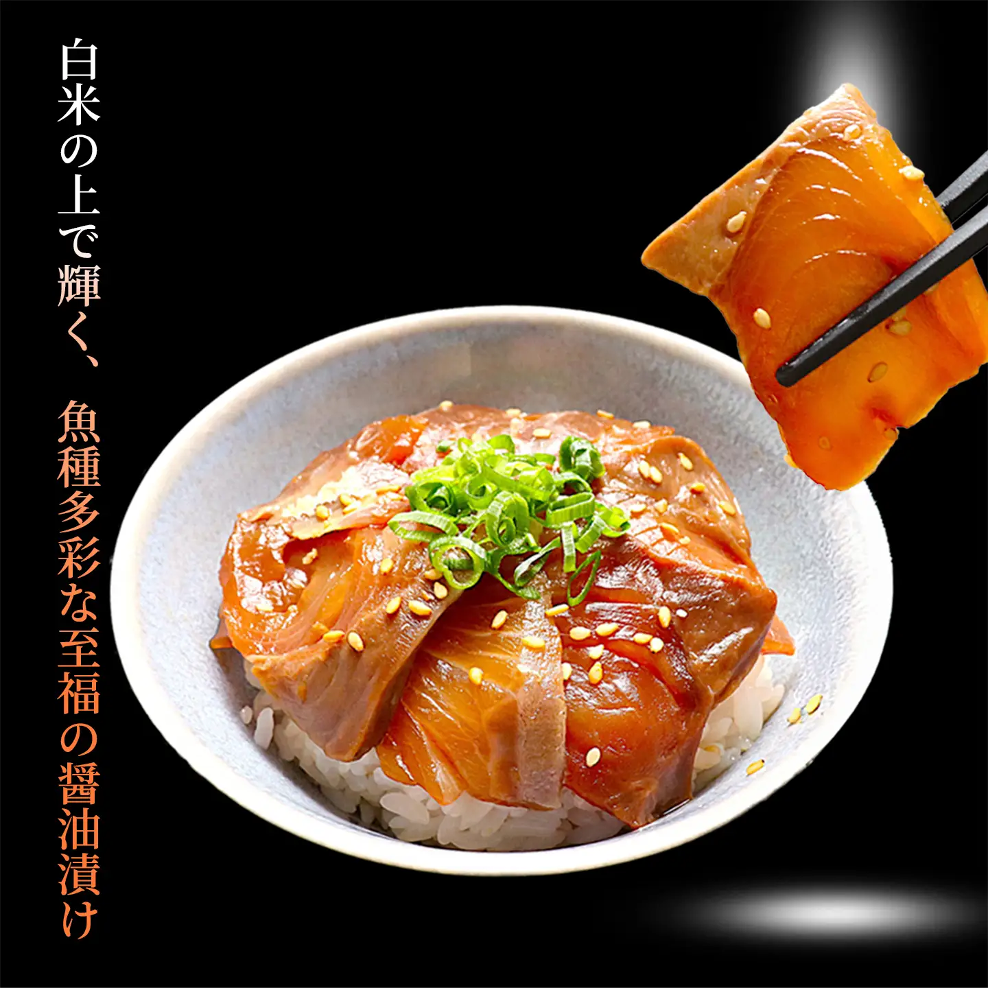 りゅうきゅう 海鮮丼 漬け丼 5種 定期便 2回 ＜101-852＞