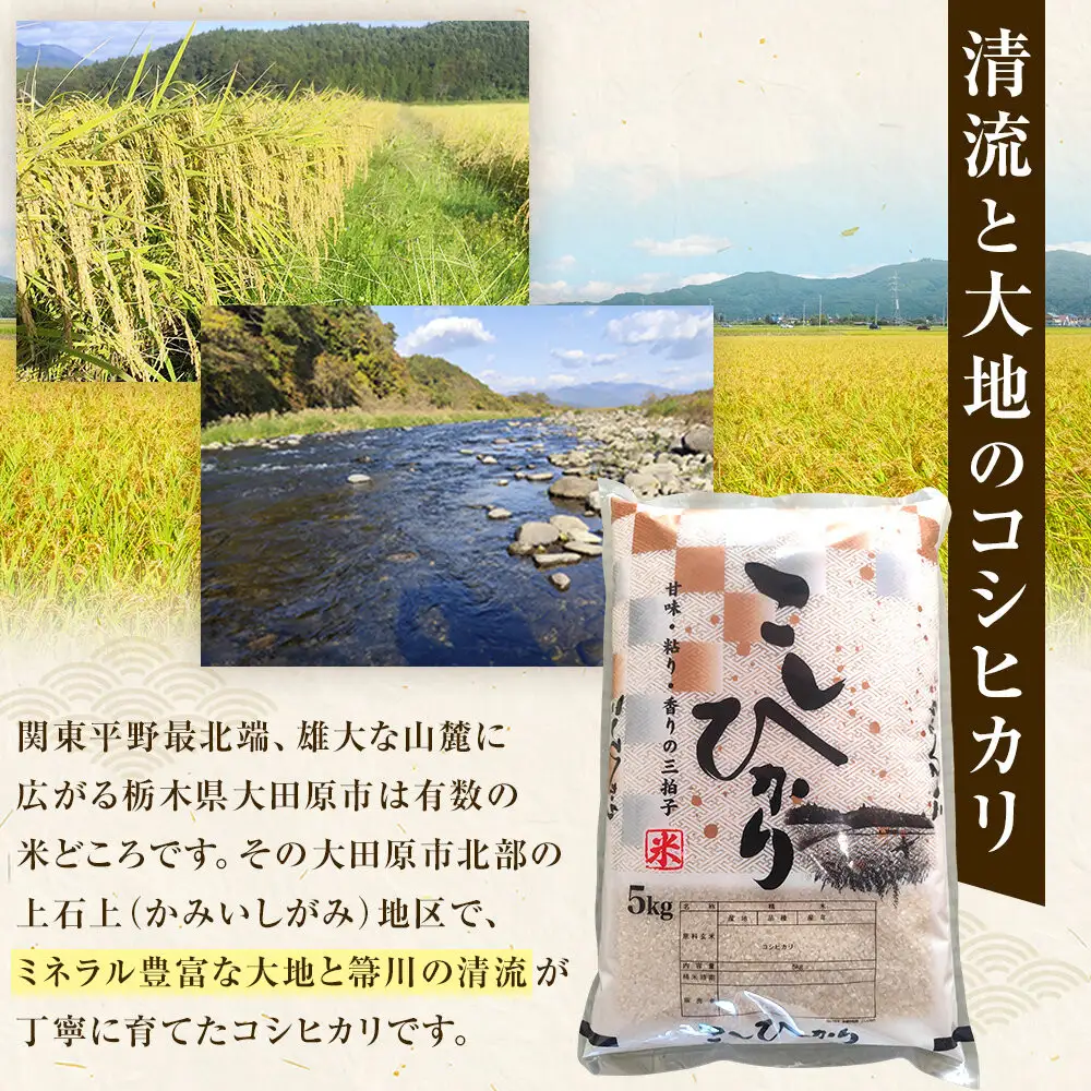 【先行予約受付】≪10月上旬発送≫令和８年産 大田原市 藤田farmのコシヒカリ【白米】5kg ｜栃木県産 米 お米  コメ こしひかり コシヒカリ 栃木県 【選べる容量】5kg 10kg  数量限定