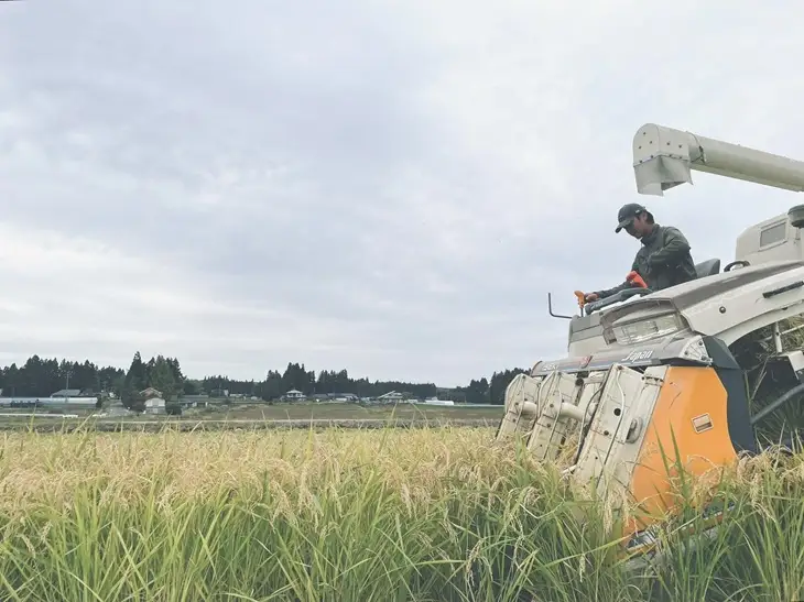 【令和8年産】特選ひとめぼれ玄米30kg 新米 先行受付 [CP001-R8]