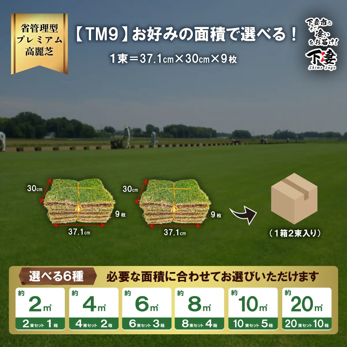 【先行予約】4㎡分 省管理型プレミアム高麗芝 「TM9（芝生）」コウライシバ ティーエムナイン 【2027年3月下旬頃から出荷予定】