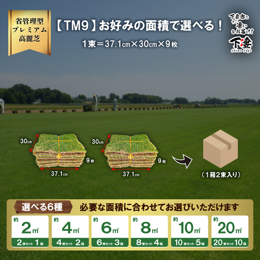 天然芝　TM9 10束　芝生 先行予約】10㎡分 省管理型プレミアム高麗芝 「TM9（芝生