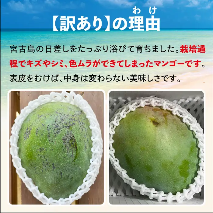 《2026年発送》宮古島すがわら農園 【訳あり】 キーツマンゴー 3玉（FR013）