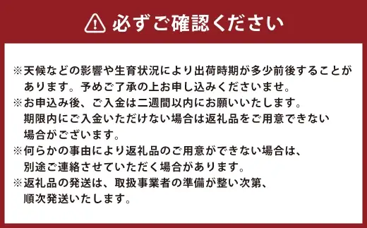 温州みかん 約10kg 2S ～ 2Lサイズ みかん ミカン 蜜柑 果物 くだもの フルーツ 柑橘 柑橘系 柑橘類 果実 果肉 国産 熊本県産 【 2026年11月上旬～12月上旬発送予定 】