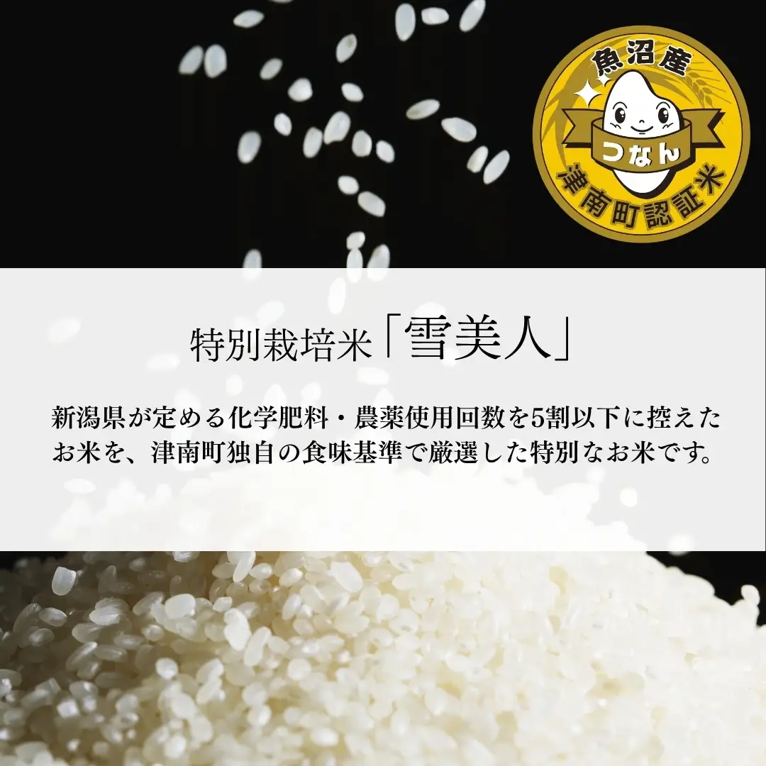 魚沼産コシヒカリ 特別栽培 雪美人  10kg(5kg×2袋)  | コシヒカリ 令和7年