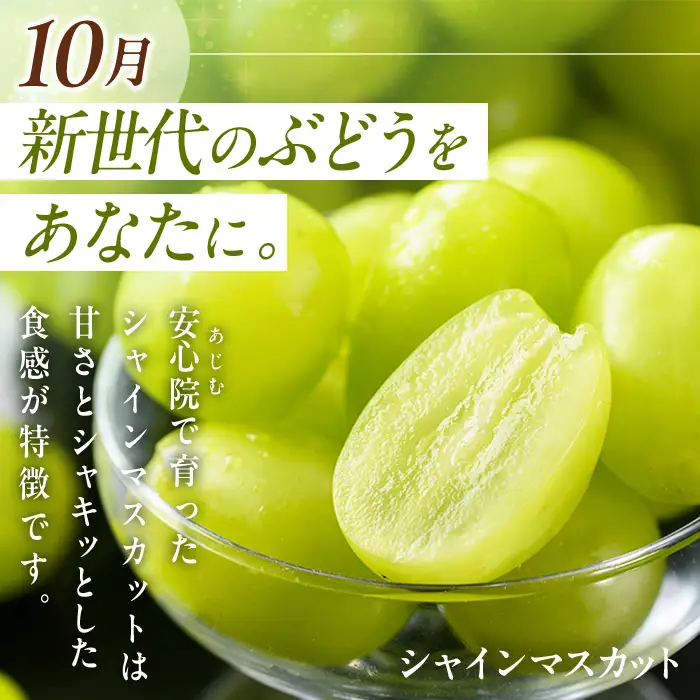 ＜定期便・全3回(10.12.2月発送)＞フルーツ定期便 (シャインマスカット・田口早生・ベリーツ) ぶどう 葡萄 フルーツ いちご みかん 果物 定期便＜先行予約受付中！26年10月から順次発送予定＞＜北海道、沖縄、離島配送不可＞【206200100】【大分県宇佐市】