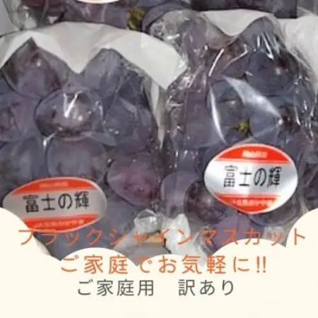 【2027年発送】ご家庭用 訳あり 岡山県産 ブラックシャインマスカット 2-4房(約1kg)【配送不可地域：離島】【1772428】