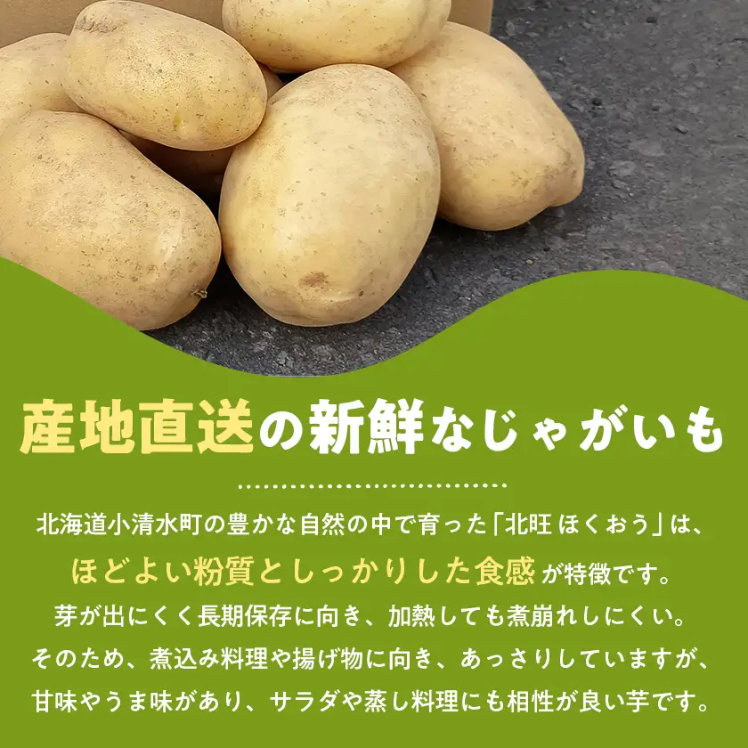 北海道小清水町産 北旺10kg 煮物におすすめのじゃがいも【1763278】