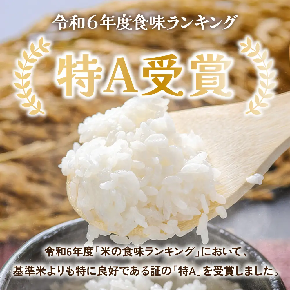 【新米予約】【12ヵ月定期便】令和8年産 ゆめぴりか 5kg 北海道 留萌管内産 R004-216