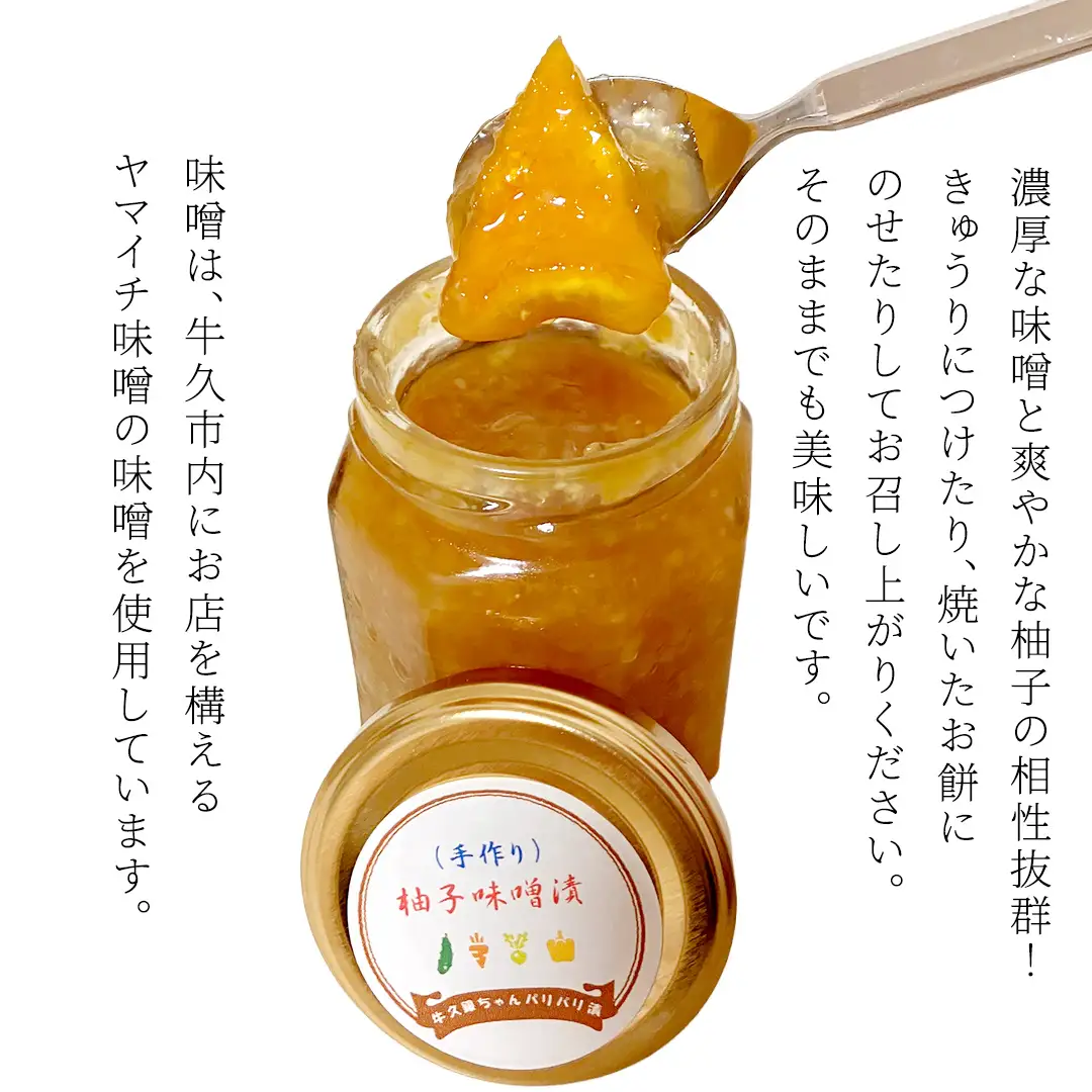 柚子 味噌漬け 3個セット ゆず 味噌付 味噌 みそ 調味料 つまみ ふるさと納税