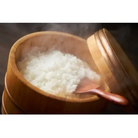 【発送月固定定期便】湯川村産コシヒカリ 精米10kg(R8.10-12・R9.1-6)全9回【4091523】
