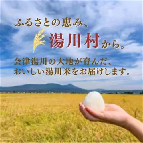 【発送月固定定期便】湯川村産コシヒカリ【無洗米】5kg(R8.11・R9.1・3・5・7・9)全6回【4091544】