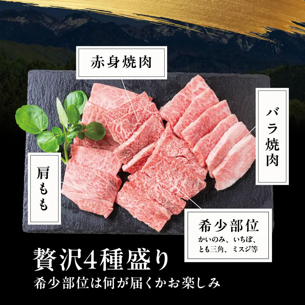 4種食べ比べ！飛騨牛 A5等級 焼肉 480ｇ | 黒毛和牛 牛肉 焼肉セット ブランド牛 希少部位 冷凍牛肉 個包装 焼肉 丹生川精肉 JJ012