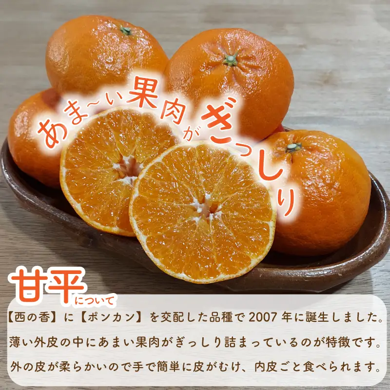 【愛媛県産】 甘平 約5kg 訳あり 甘平 みかん 【TKG0013】