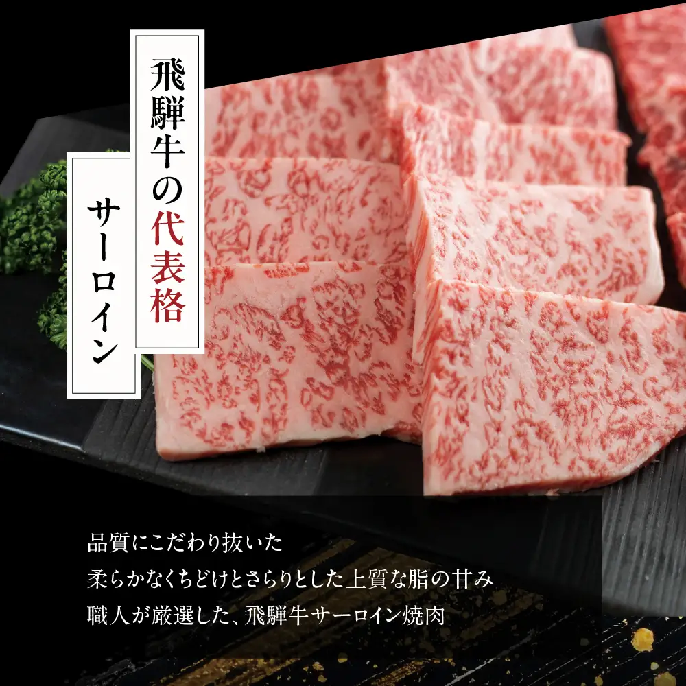 2種食べ比べ！ 飛騨牛 A5等級 焼肉 サーロイン 200ｇ もも 赤身 200ｇ | 牛肉 飛騨牛 ブランド牛 国産 赤身 サーロイン 焼肉 バーベキュー アウトドア 丹生川精肉 JJ018