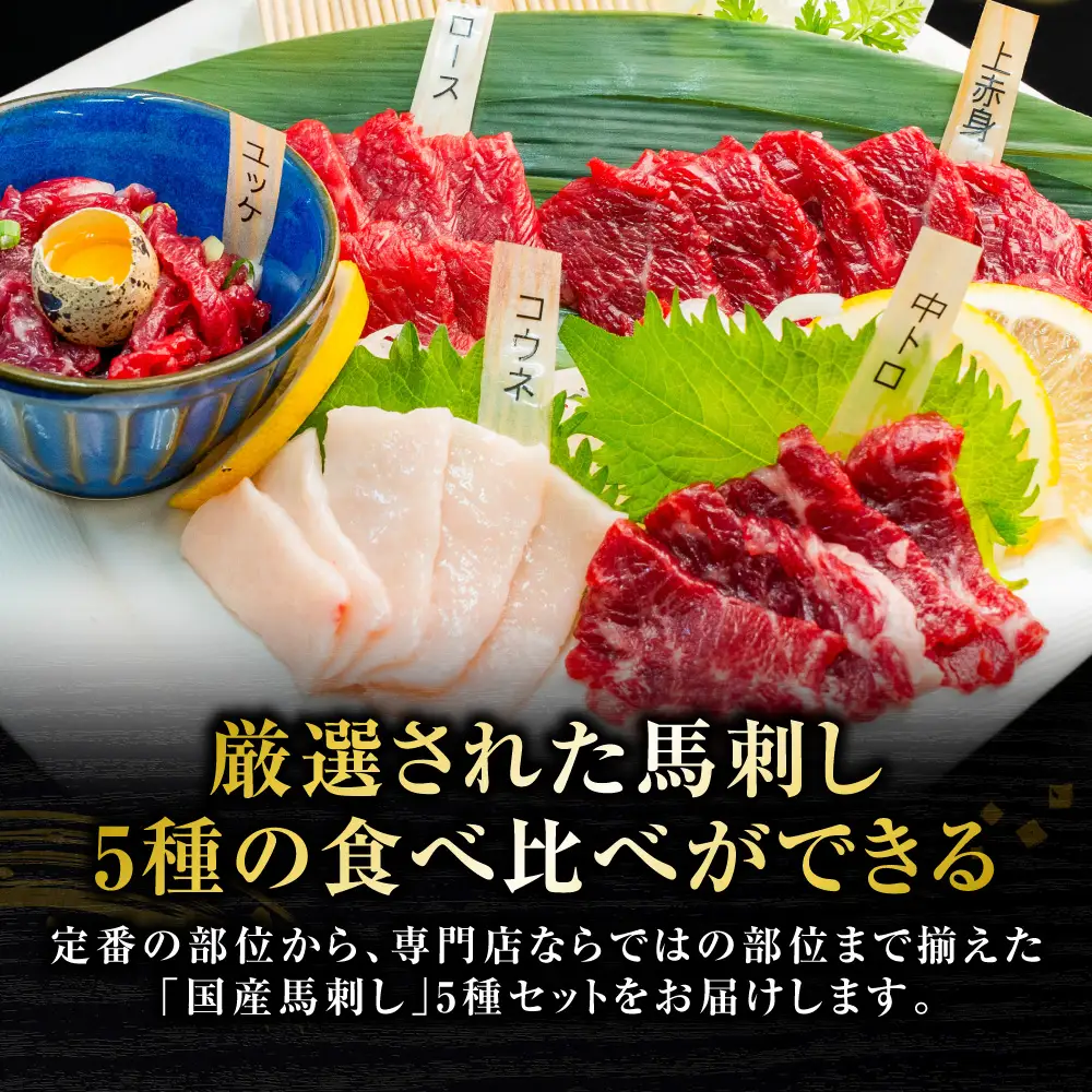馬肉 国産 馬刺し 5種 計230g （上赤身50g、ロース50g、中トロ50g、コウネ30g、ユッケ50g）馬肉