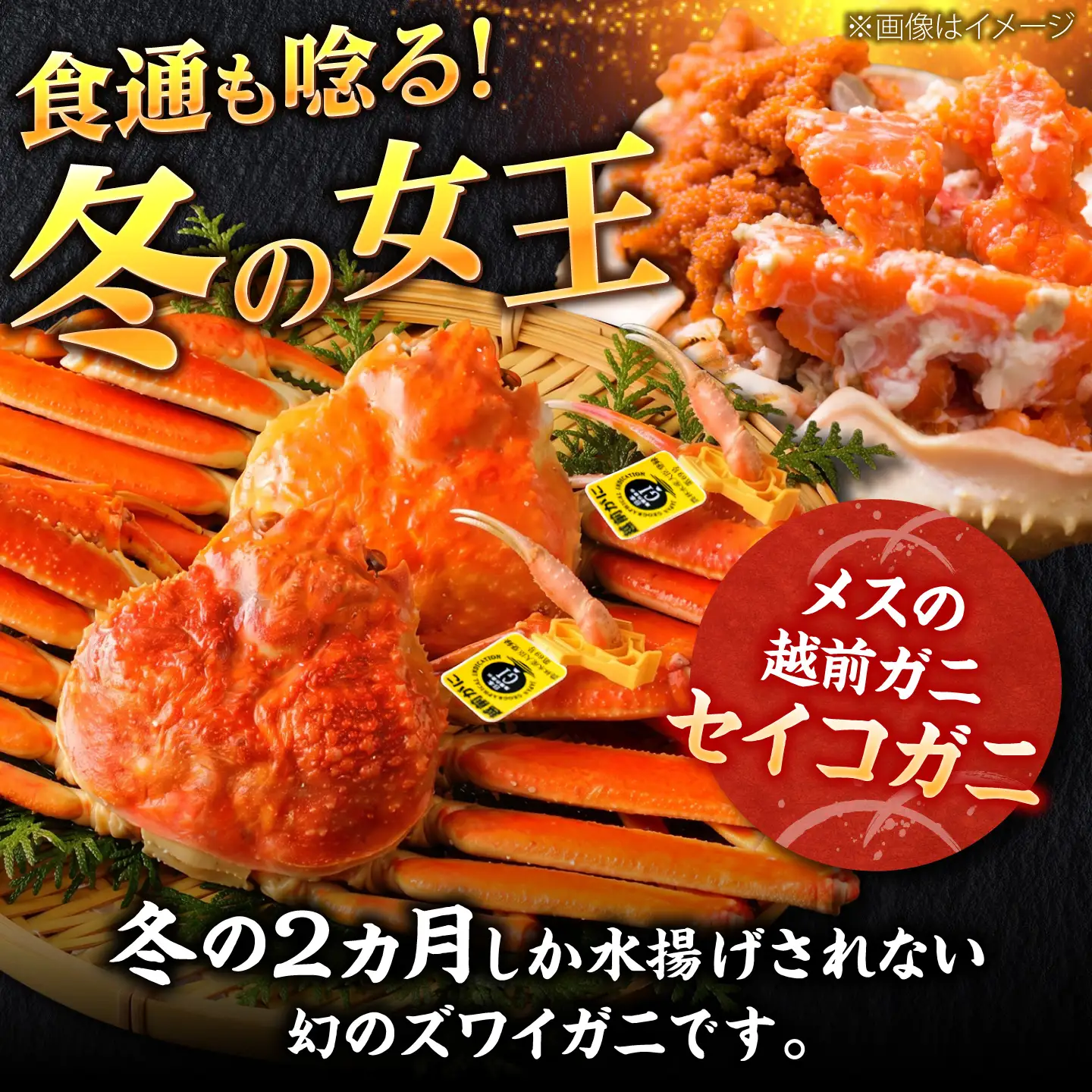 【先行予約/11月7日より順次発送】セイコガニ（ズワイガニのメス）小サイズ 20ハイ / 越前ガニ コッペガニ せいこ蟹 ボイル 小浜市 / まるほ商店 【配送不可地域：北海道・沖縄・離島】[BFCS077]