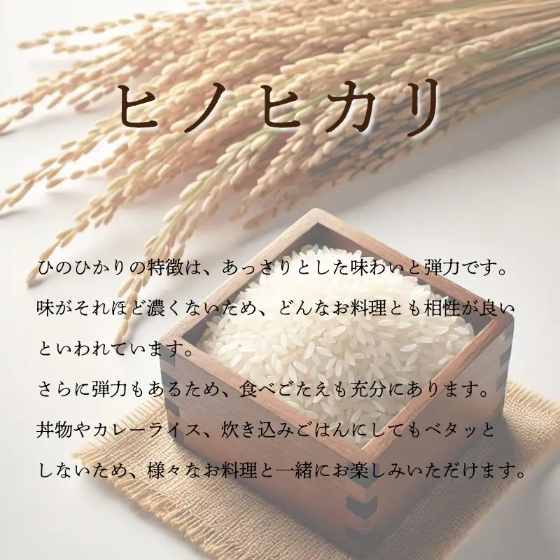 定期便 6回 10kg 米 ヒノヒカリ 10kg 令和8年産