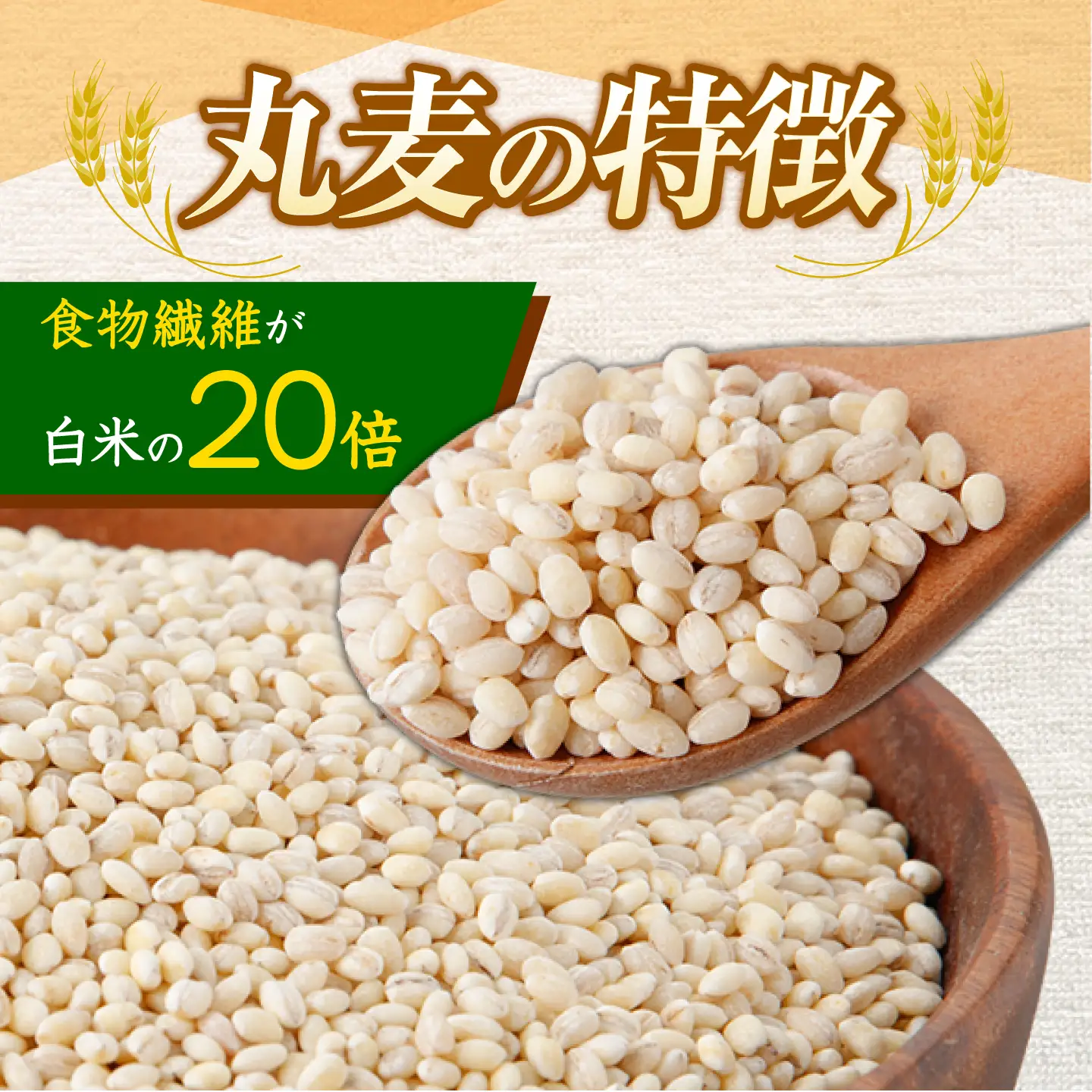 【7日以内に発送】長崎県産 丸麦 5kg / 麦 むぎ 雑穀 雑穀米 麦ごはん 麦飯 麦みそ 食物繊維 / 諫早市 / 有限会社伊東精麦[AHBU019]