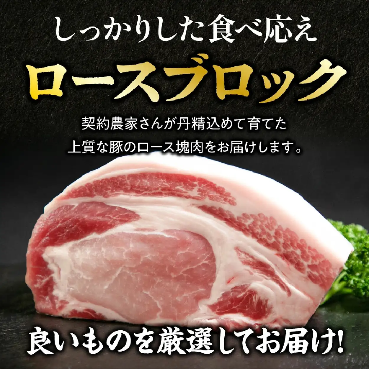 豚ロース ひなた宮崎極豚ロース塊 500g×2P（豚肉 豚 ロース ブロック とんかつ トンテキ 生姜焼き）