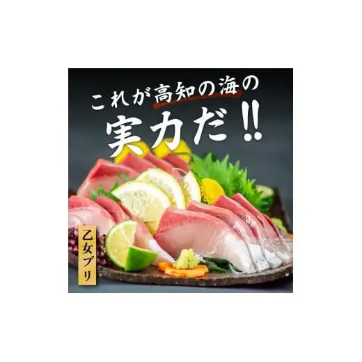 乙女ブリ 1本 4~5kg 三枚におろす（皮つき、アラ入り） 丸ごと一本 ブランド鰤 極みブリ 冷蔵 ブリ しゃぶ 高知県 須崎市 高知 鰤 年末 正月 KS036