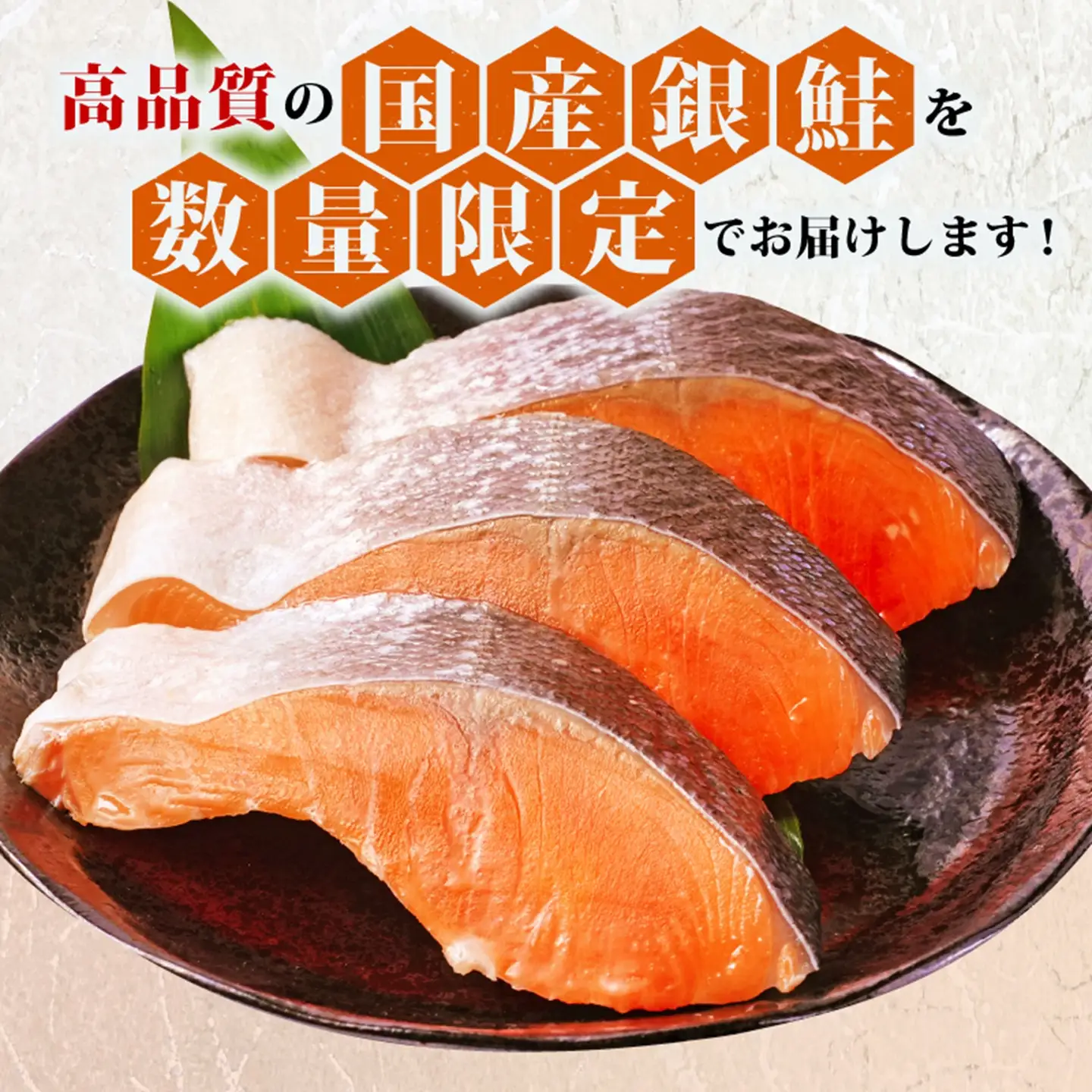 訳あり 厚切 国産銀鮭 切り身 1.4kg 銀鮭