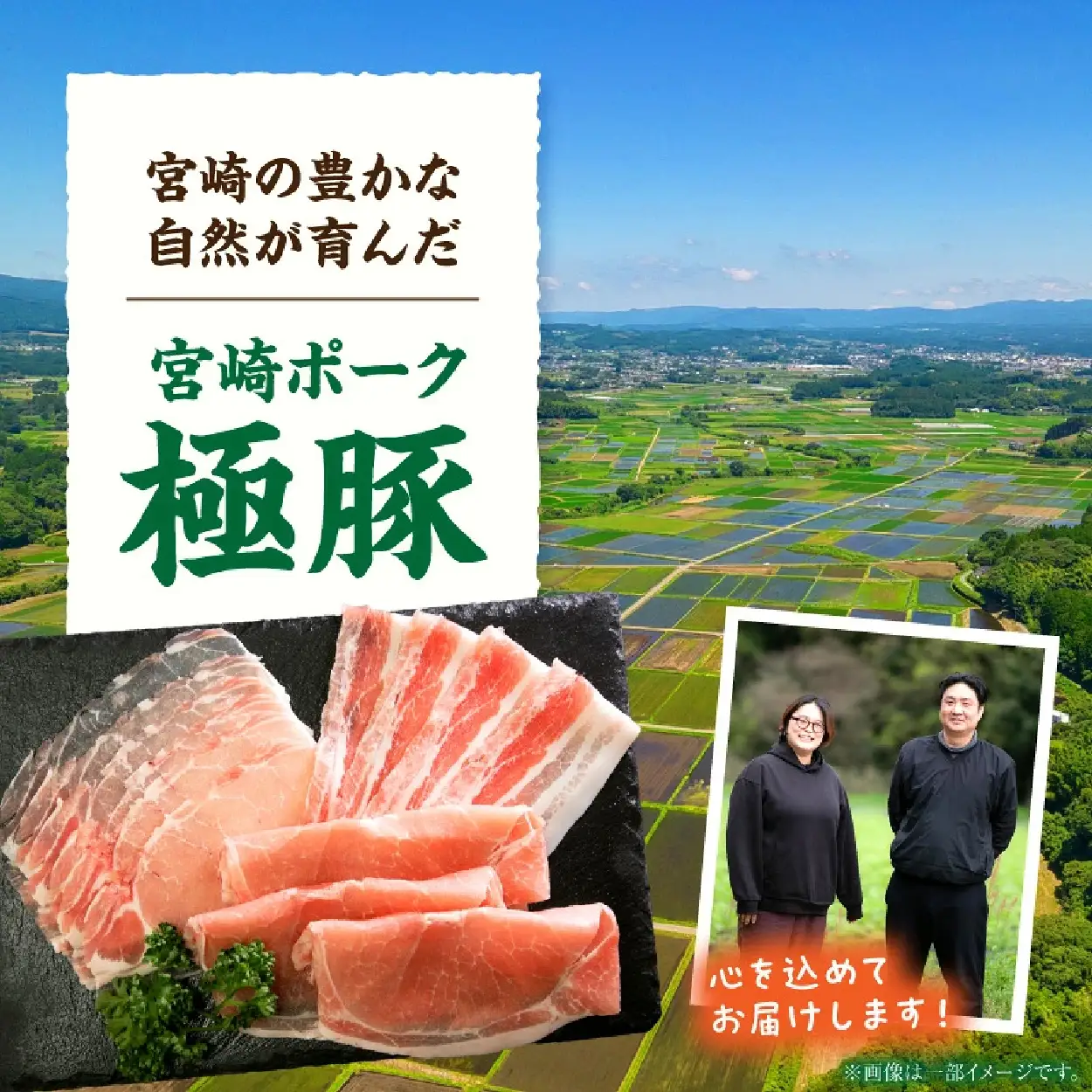 豚肉 【定期便3回】ひなた宮崎極豚上しゃぶしゃぶ食べ比べ 3回コース 豚肉 豚 豚バラ 