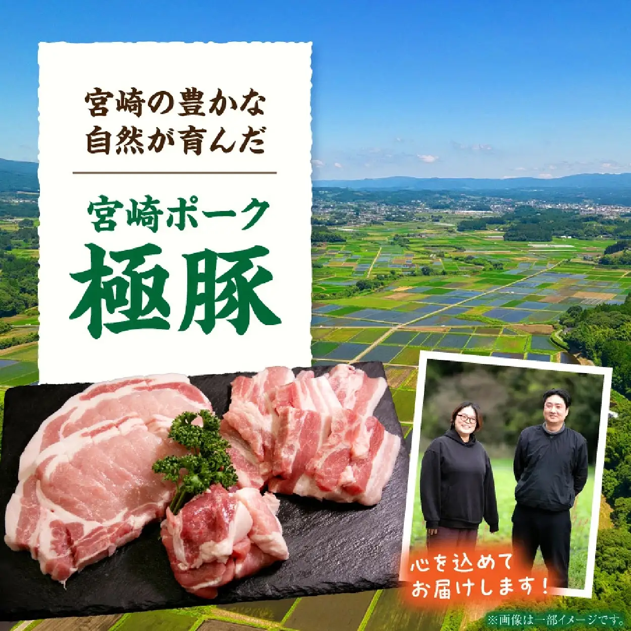 豚肉 【定期便】宮崎極豚焼肉食べ比べコース 3回 豚肉