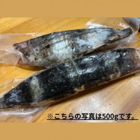 【訳アリ】鰹の藁焼きタタキ(500g)【配送不可地域：離島】【1773300】