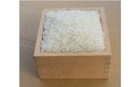 A127 【定期便】阿武川源流米コシヒカリ白米60㎏(5kg×12回)