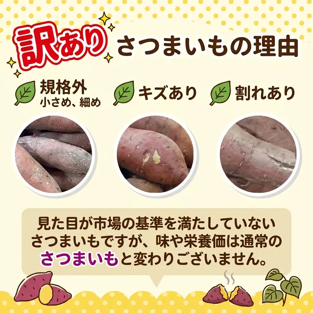 訳あり さつまいも 2kg [2月-7月発送]
