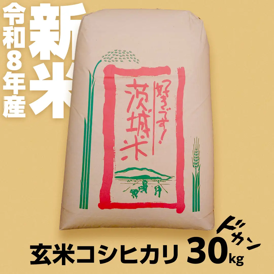 ★ 新米 先行予約 ★ 令和8年産 コシヒカリ 玄米 30kg  茨城県つくばみらい市産 米 こしひかり お米