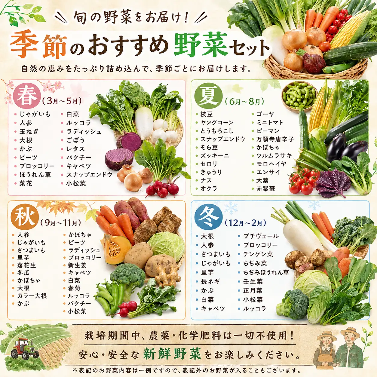 【千葉県香取市】旬の「季節の野菜セット」【詰め合わせ】【WGS002】