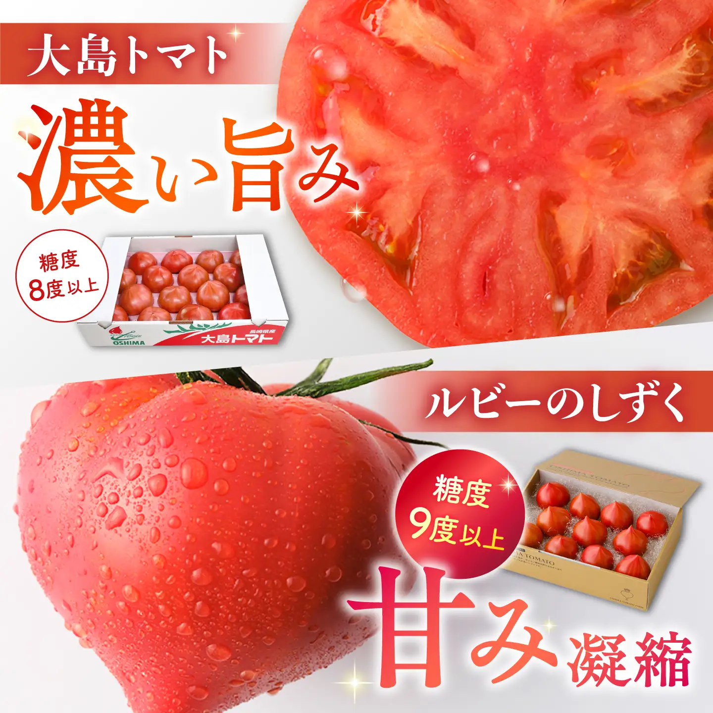 【3回定期便】 トマトづくし定期便＜大島造船所 農産グループ＞[CCK046]