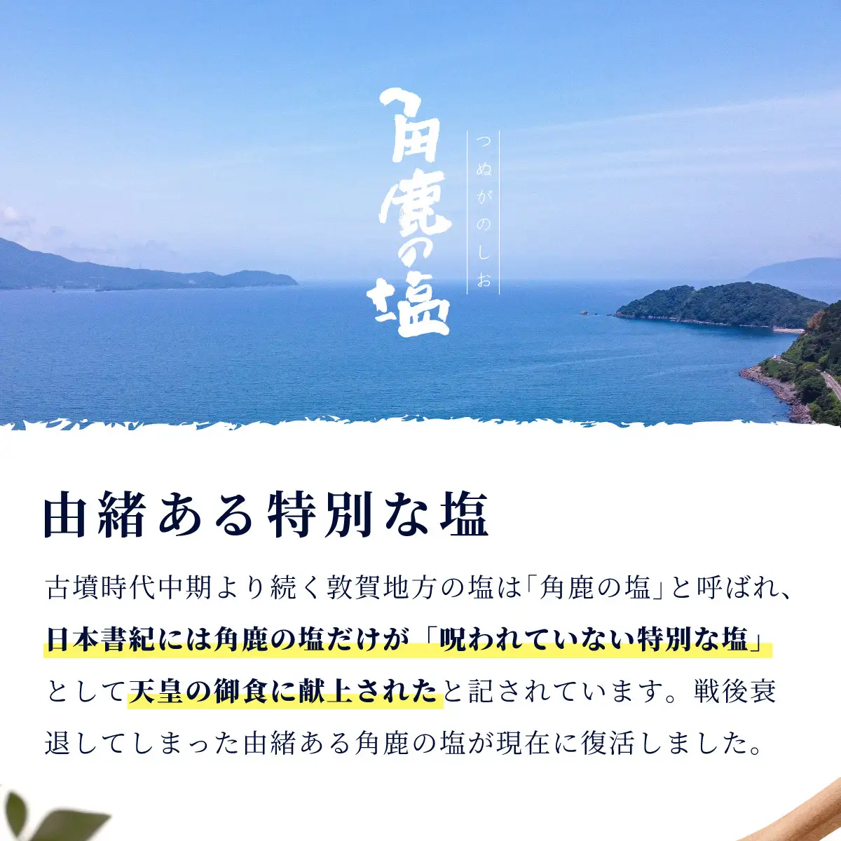 抹茶のコクのある風味が味わえる！角鹿の塩 小袋20g [080-a015]