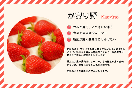 【先行受付開始！】北海道浦河産いちご「かおり野」230g×3P[13-113]