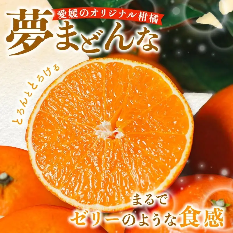 【先行予約】特選 みかん職人の夢まどんな 3kg 柑橘 果物 フルーツ 愛媛 みかん職人武田屋 蜜柑 愛果28号 愛媛果試第28号 まどんな 大小ミックスサイズ 甘い 甘さ らんきんぐ みかん かんきつ 柑橘 冬 旬 食べごろ 農家 農家直送 農園 人気 みかん職人 武田屋 産直 みかん職人武田屋 愛媛県 愛南町