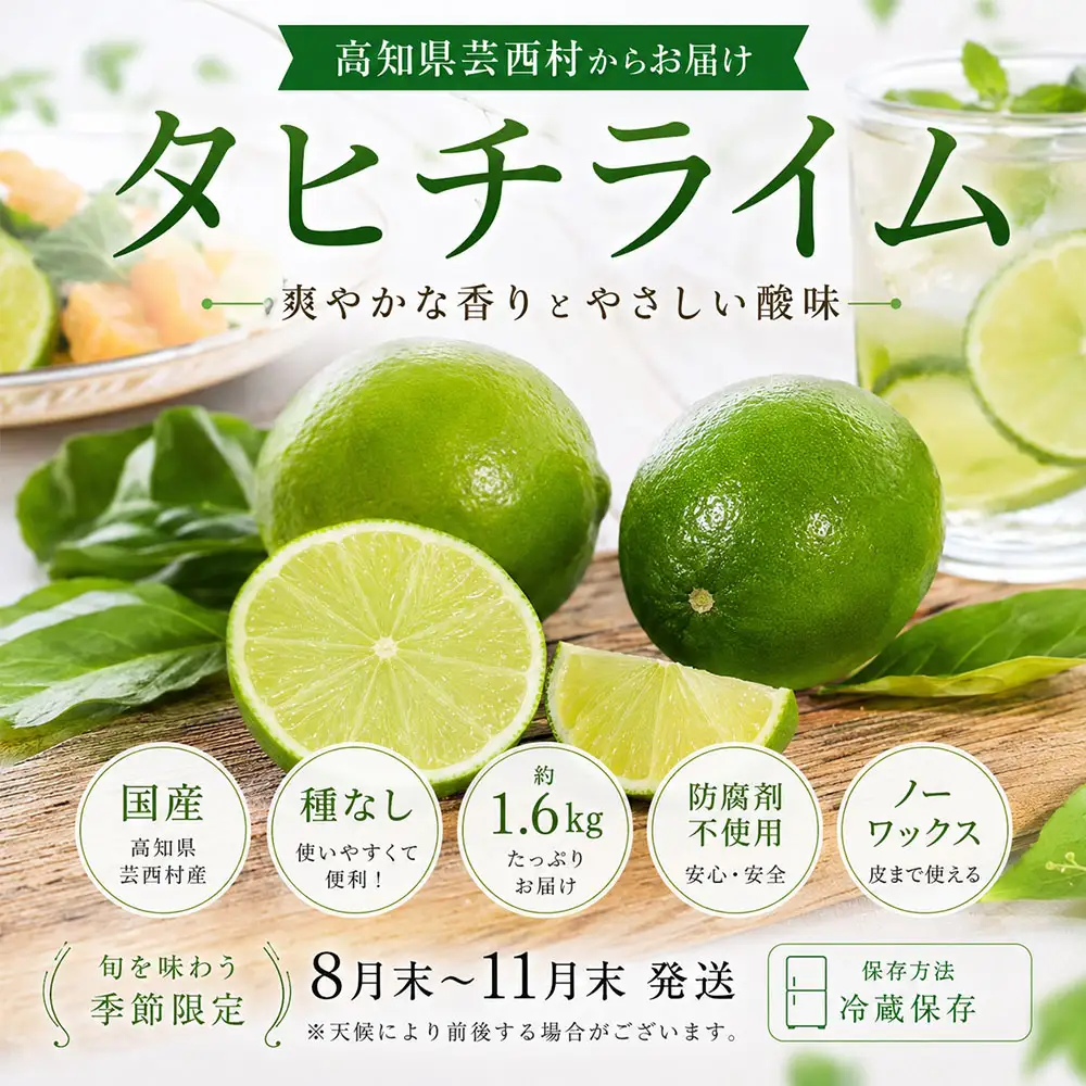 訳あり タヒチライム 約1.6kg ライム サイズおまかせ 国産