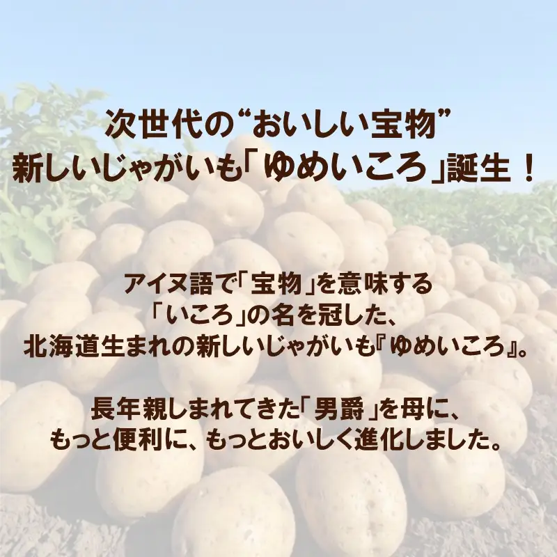 JAきたみらいから直送する新鮮じゃがいも「ゆめいころ」10kg (JAきたみらい JA 直送 じゃがいも いも 芋 ジャガイモ)【104-0019】