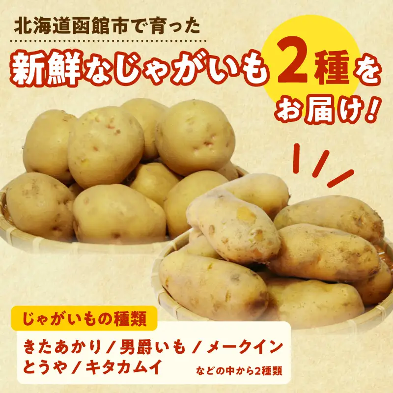 じゃがいも 福袋 2種類 20kg きたあかり 男爵いも メークイン とうや キタカムイ 北海道産 函館市 送料無料_HD206-003