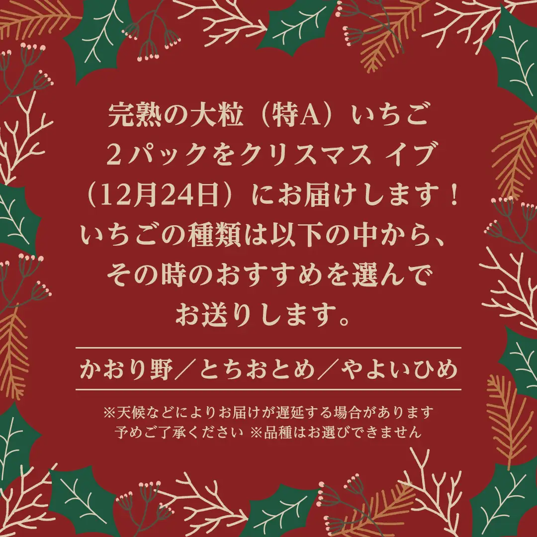 【12/24 到着】 クリスマス イブ に届く 完熟 いちご 約260g×2パック 数量限定 完熟いちご やよいひめ かおり野 とちおとめ 国産 いちご イチゴ 苺 旬のいちご 贈り物 果物 フルーツ 茨城県産 KEK 年内 年末 [BC071sa]